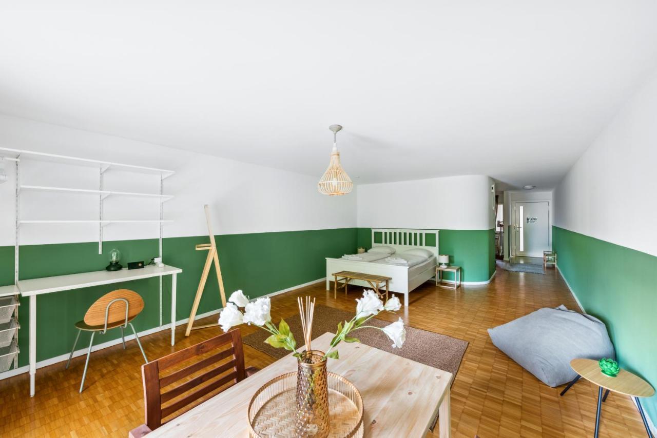 Cozy Apartments Close To The Center Of Zurich Forch Esterno foto
