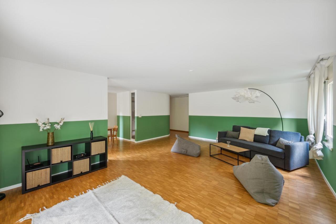 Cozy Apartments Close To The Center Of Zurich Forch Esterno foto
