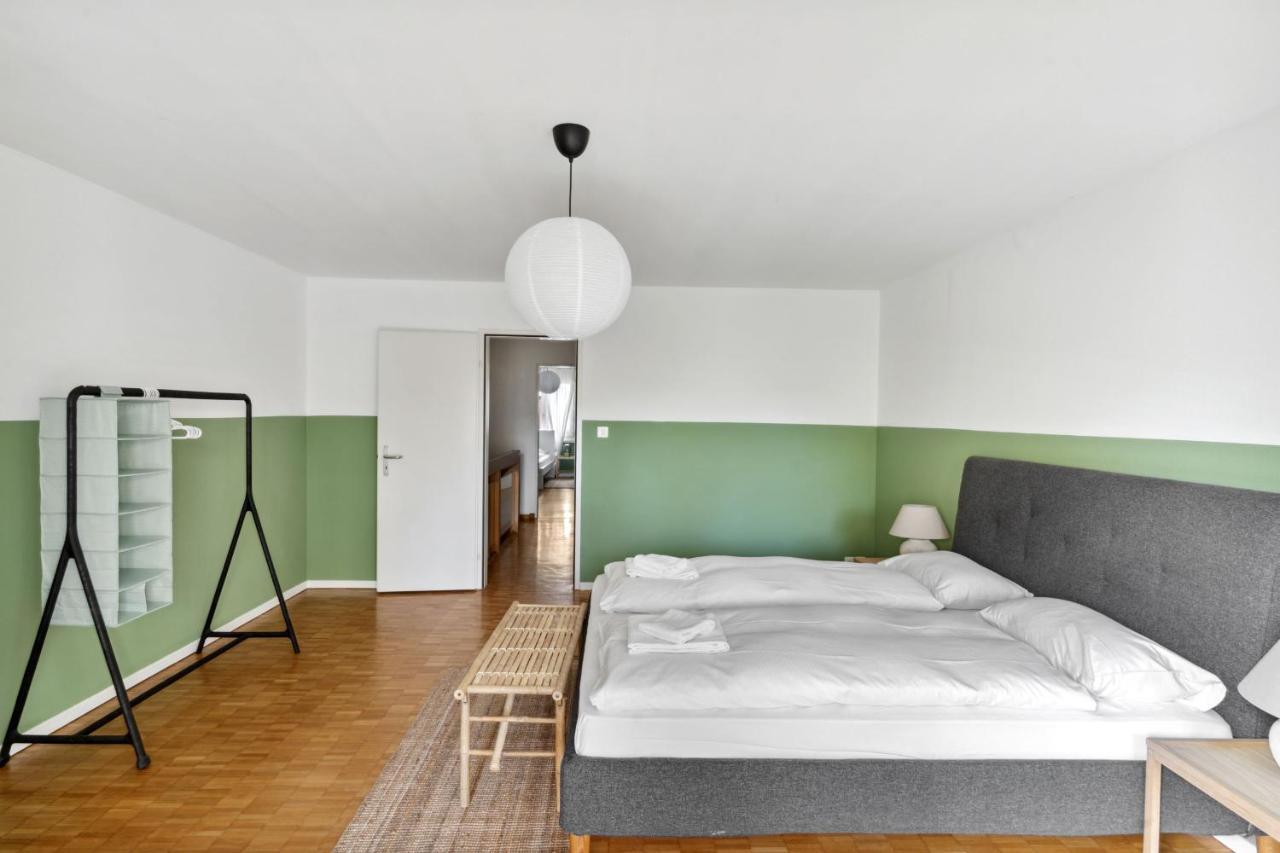 Cozy Apartments Close To The Center Of Zurich Forch Esterno foto